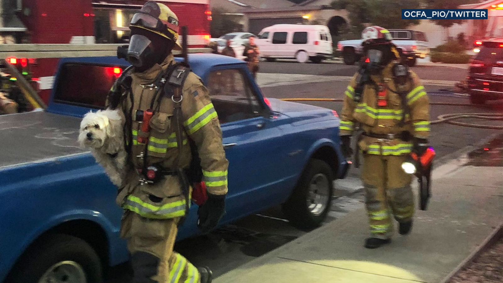 Good boy! Pet dog helps save Mission Viejo family from house fire ...