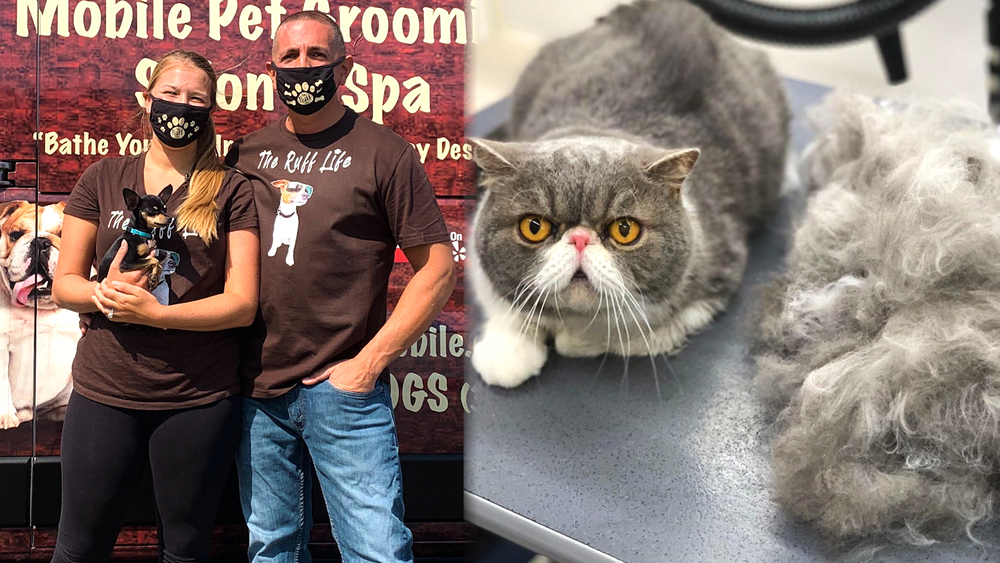 A grooming service that keeps your pet calm and clean on wheels