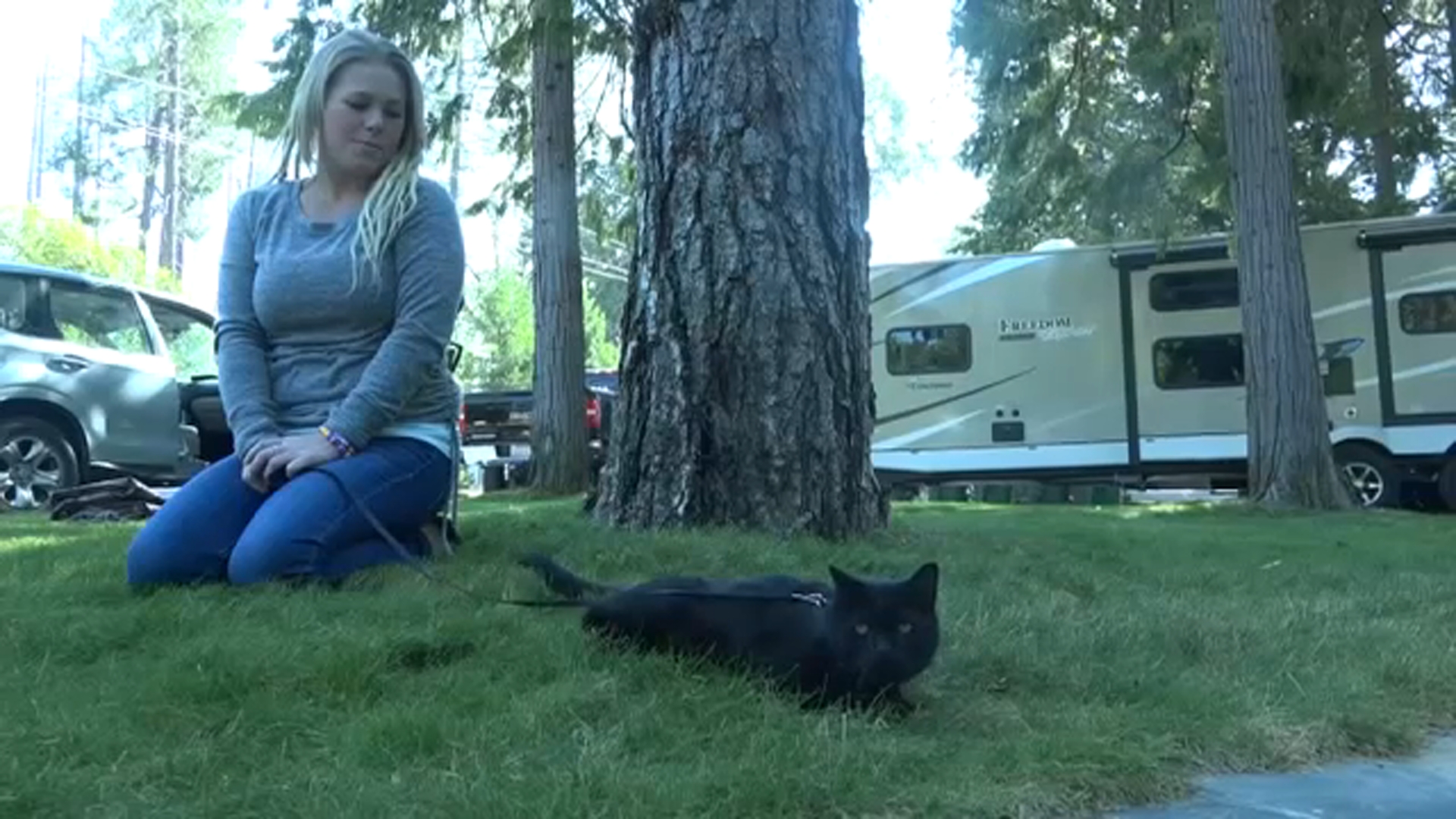 Lost cat found 23 months after Camp Fire in California