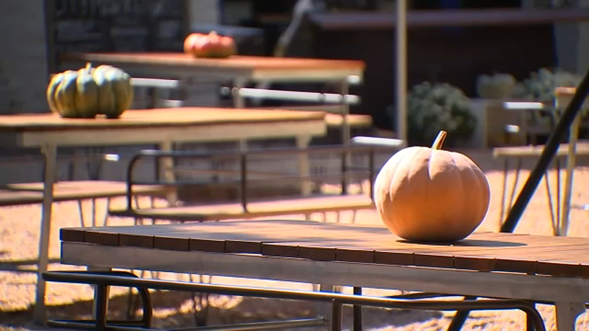 Completely outdoor restaurant opens in downtown Raleigh
