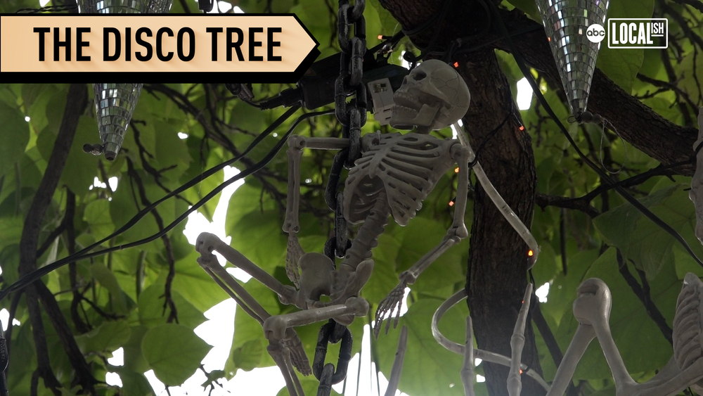 The 'Disco Tree': Halloween edition