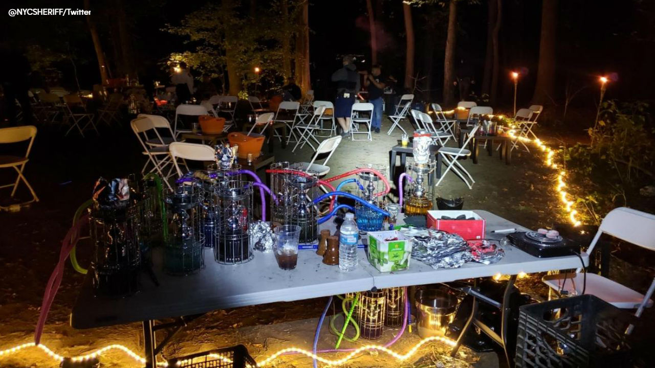 Illegal rave with more than 110 people shut down in Queens park