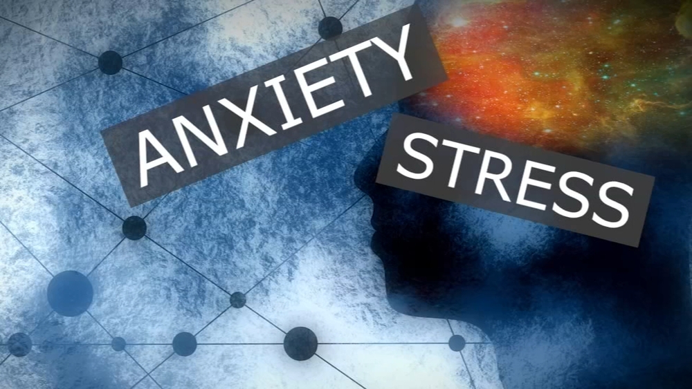 Anxious about the election? North Carolina therapist says 'election stress' is real and you're not alone