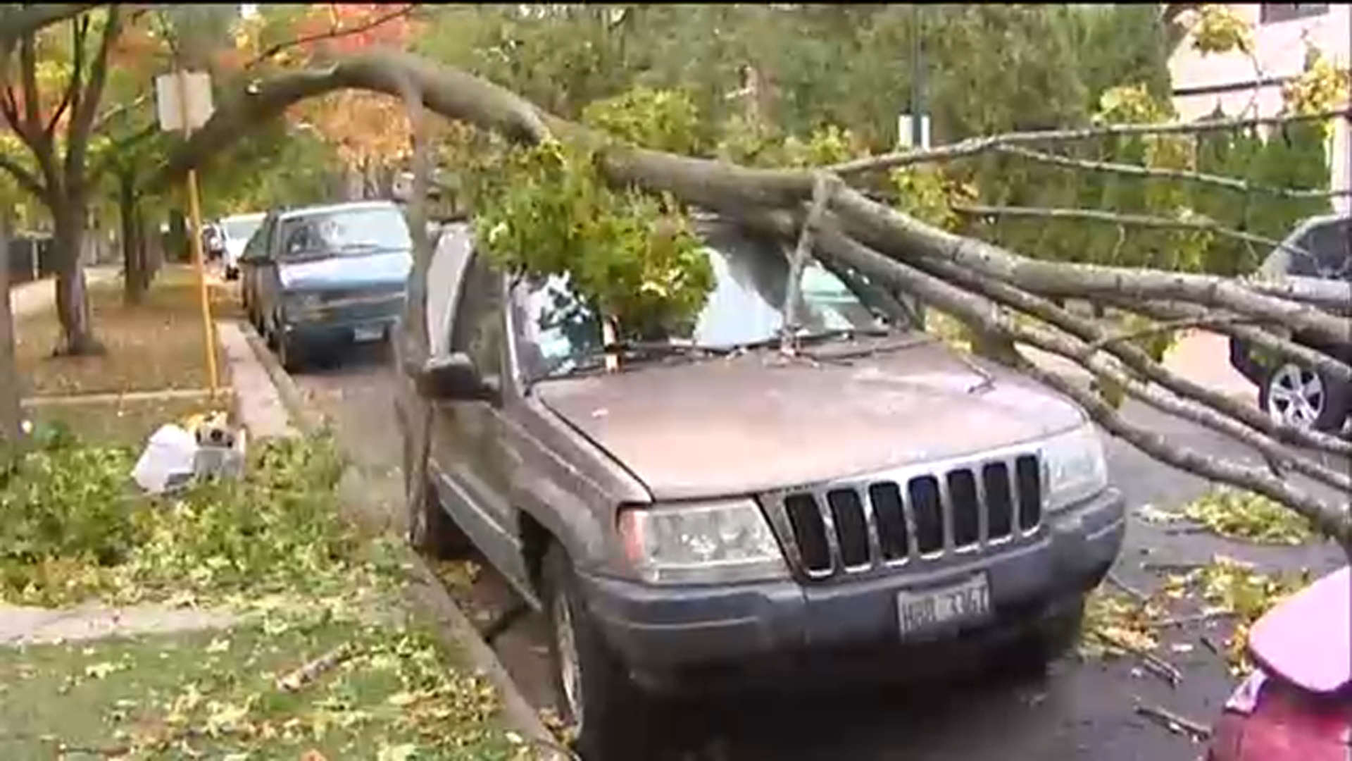 50mph winds cause weather-related issues in Chicago-area
