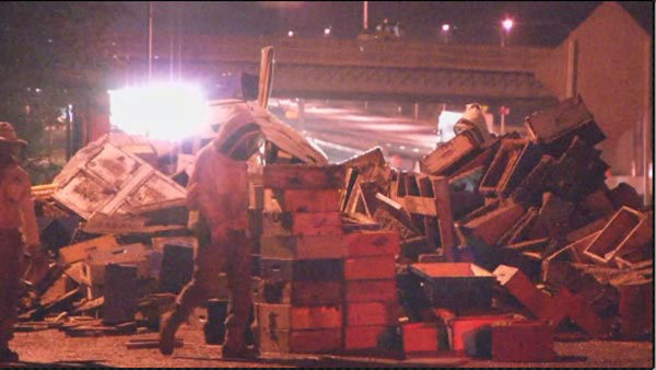 The Action Cam was on the scene after a truck crashed in Newark, Delaware on Tuesday night, releasing millions of bees.