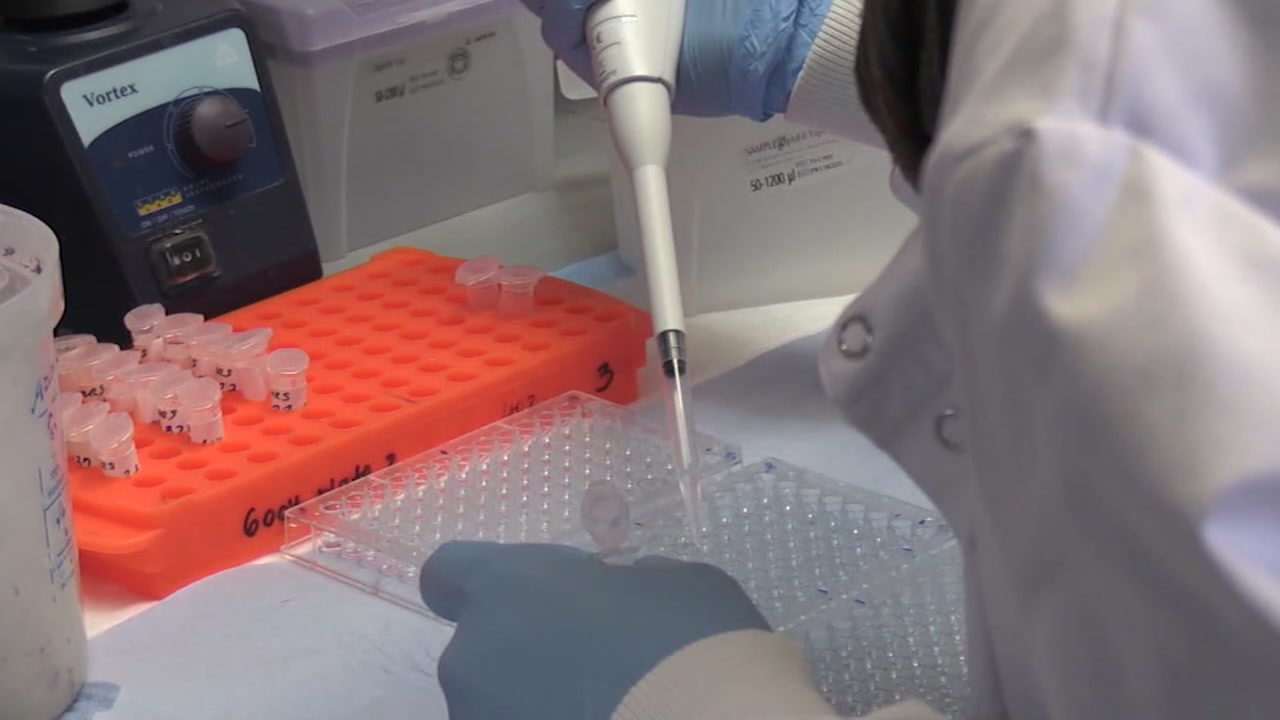 Several Bay Area doctors named to state's COVID-19 vaccine committee