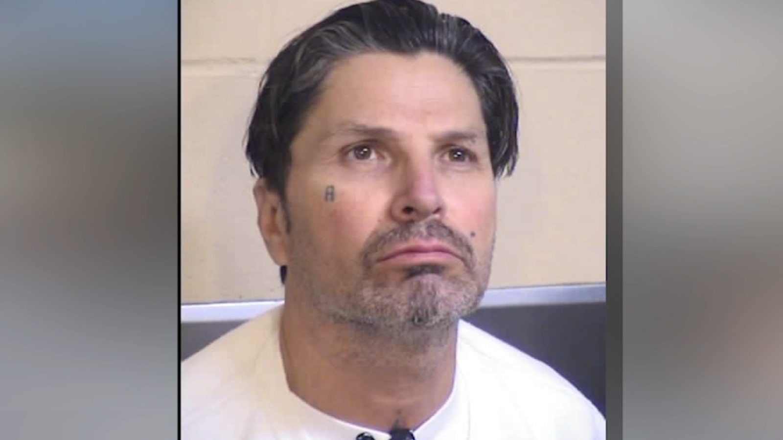 UPDATE Alleged sexually violent predator back in custody after he was