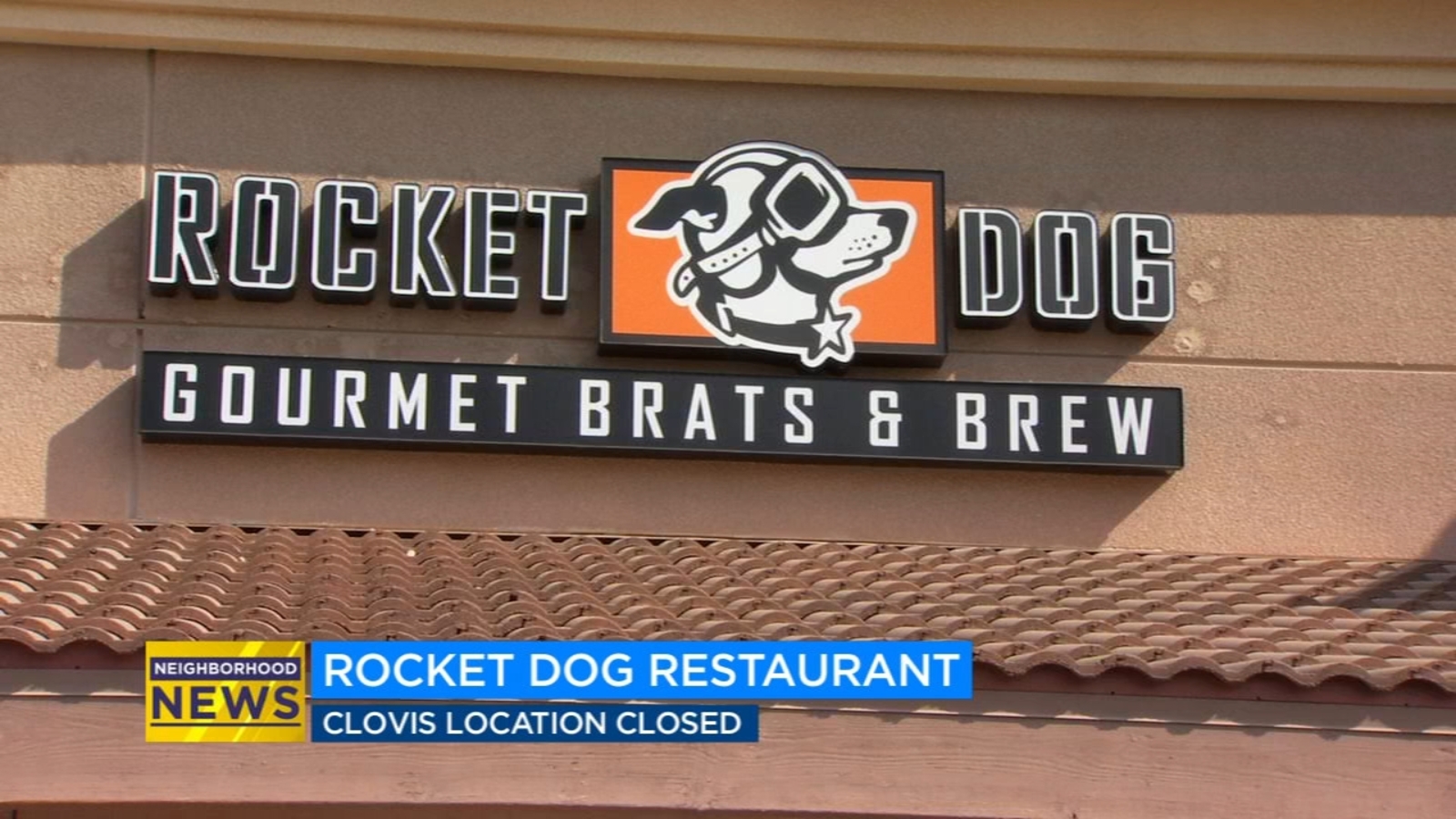 rocket dog bruly