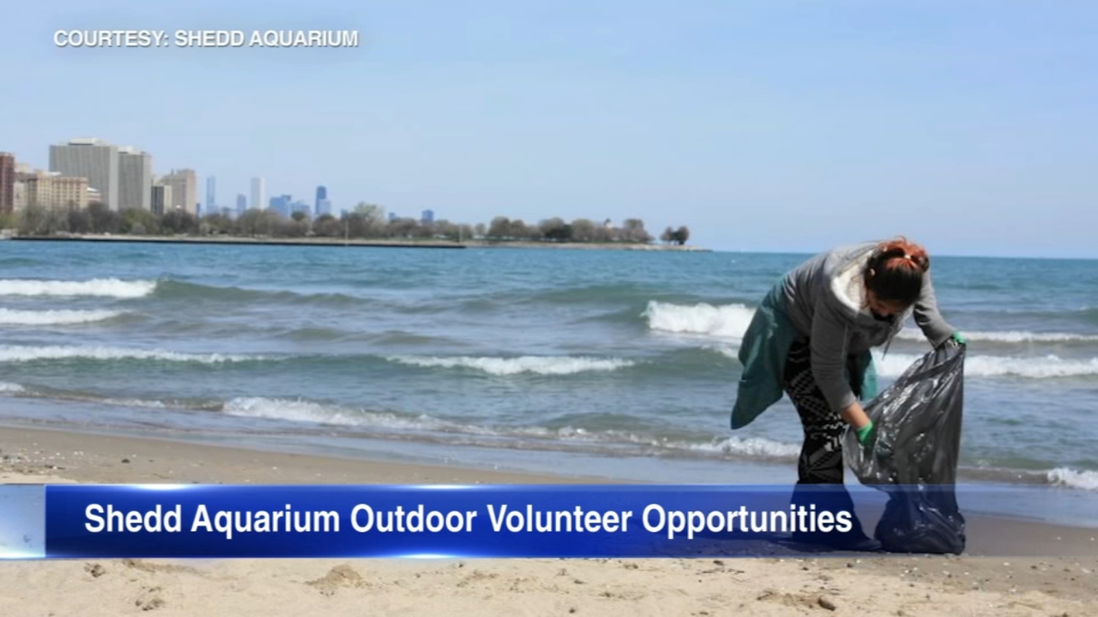 Shedd Aquarium 'Action Days' let volunteers clean up Chicago's beaches