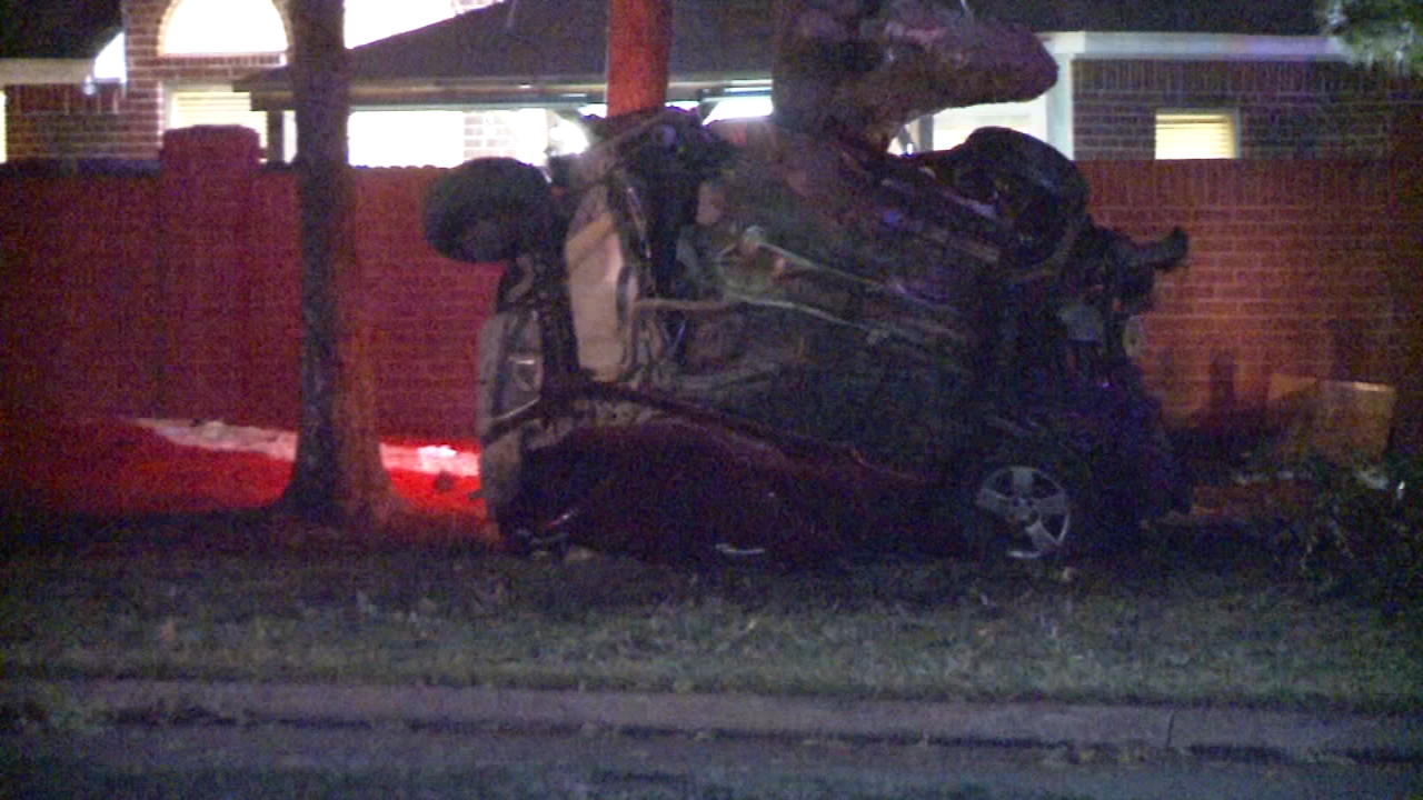 Chase suspect dies after crashing into tree during pursuit