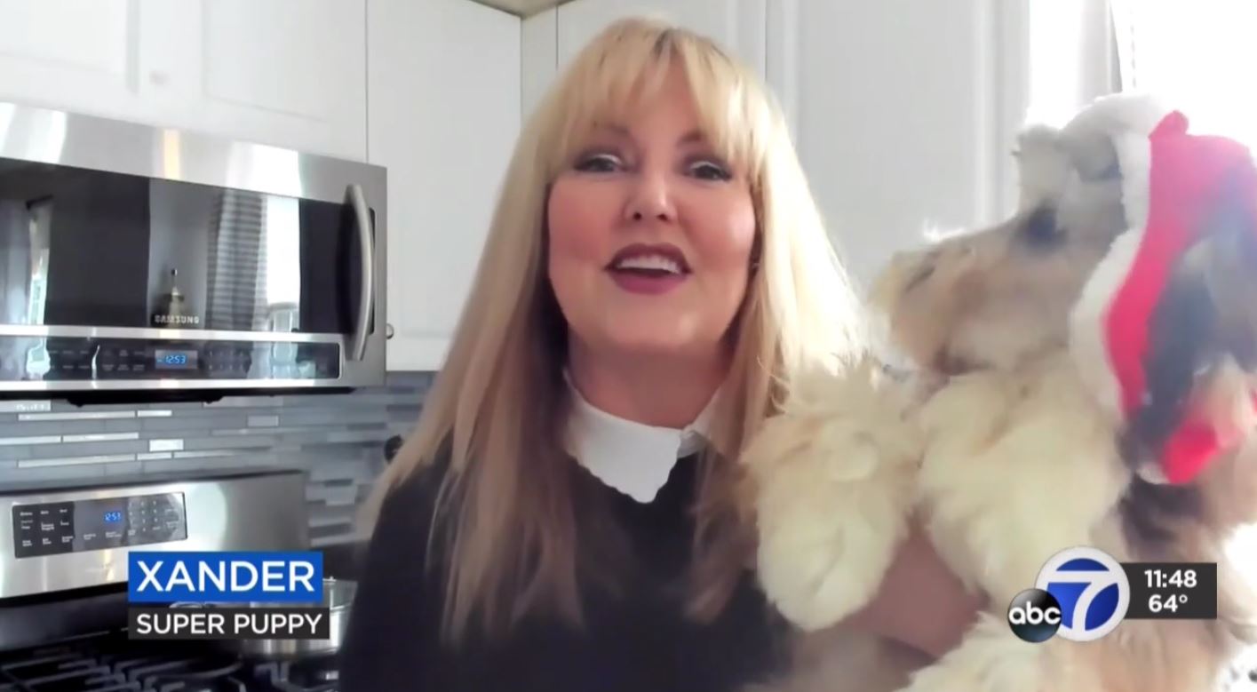 110120-kgo-mdl-kidde-cook-for-your-pets-vid