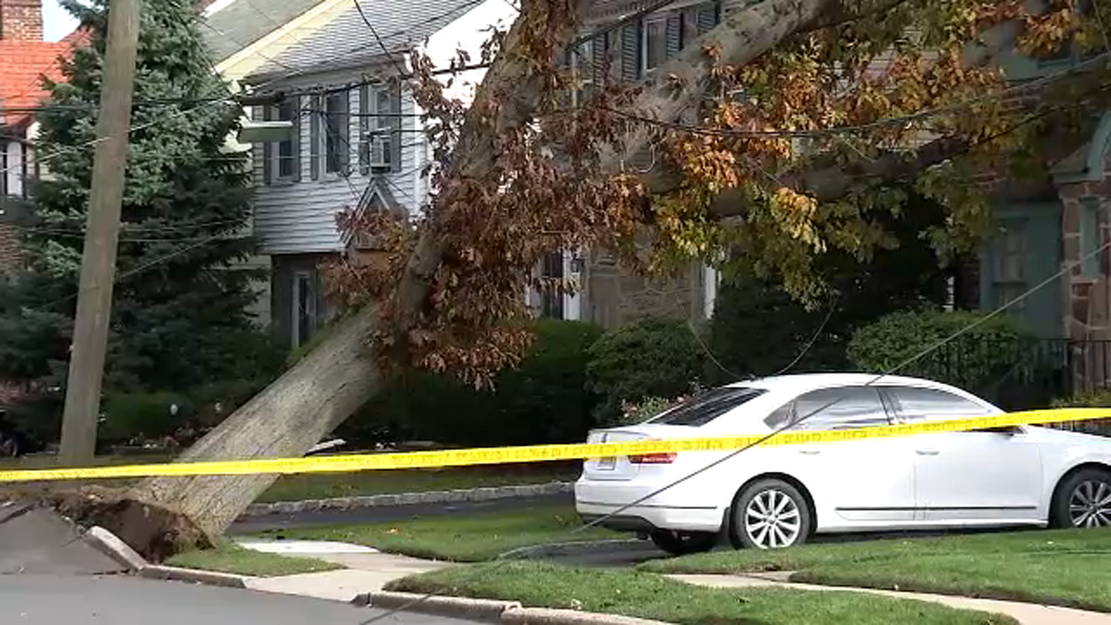 Wind damage Strong winds cause downed trees, power outages across Tri