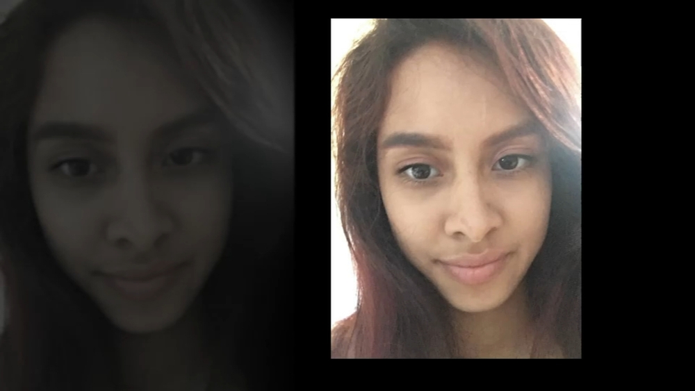 Body found in Midlothian forest preserve ID'd as Harvey woman who went missing on walk