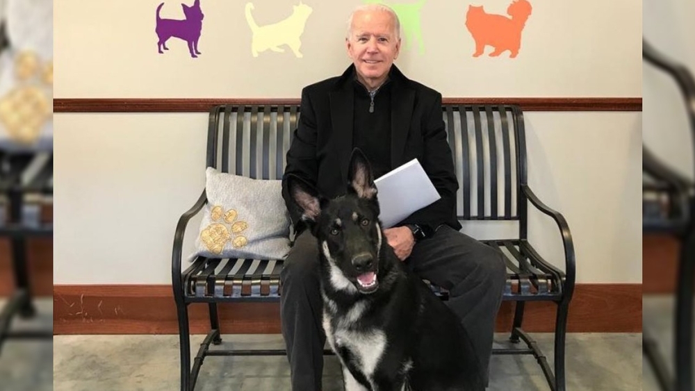 Dogs returning to White House with election of Joe Biden
