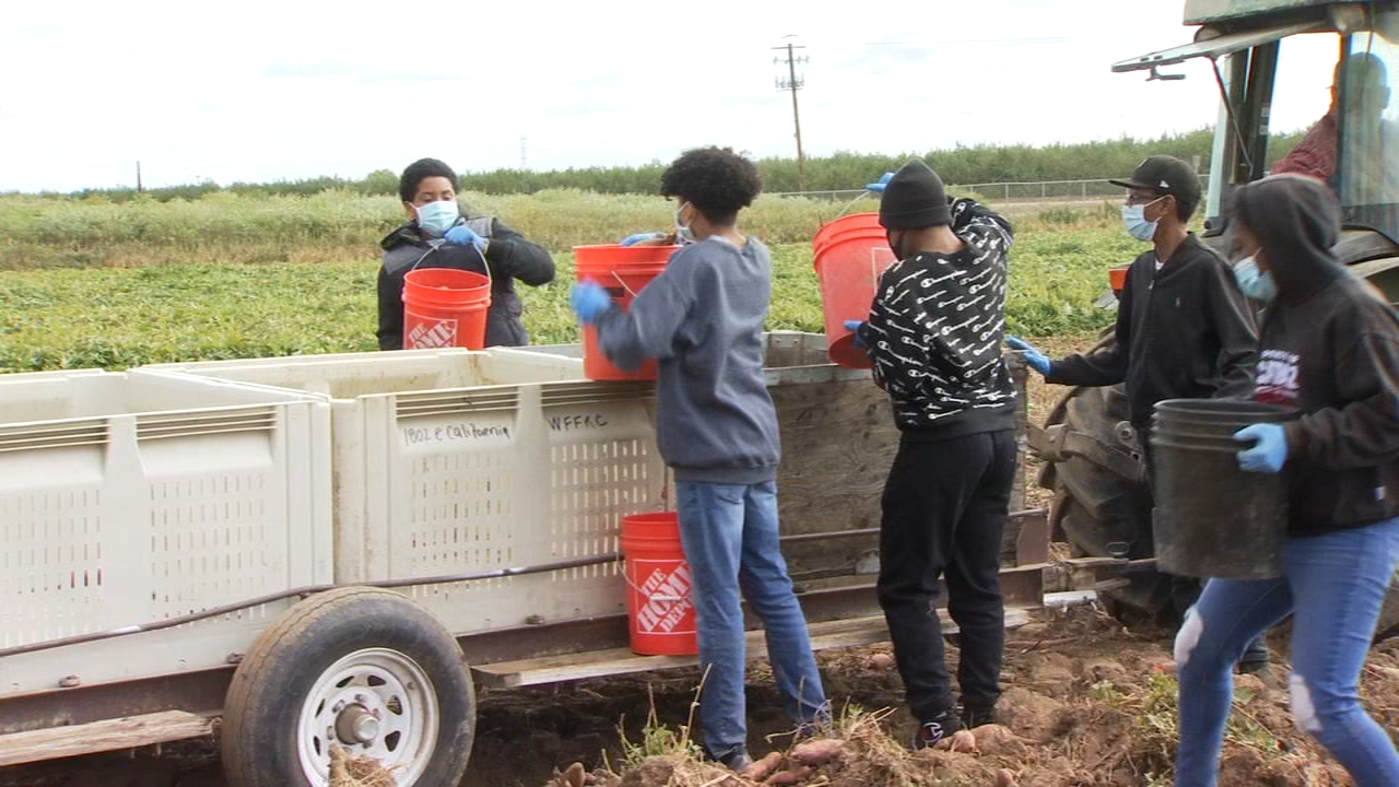 SW Fresno group aims to help local youth gain interest in agriculture