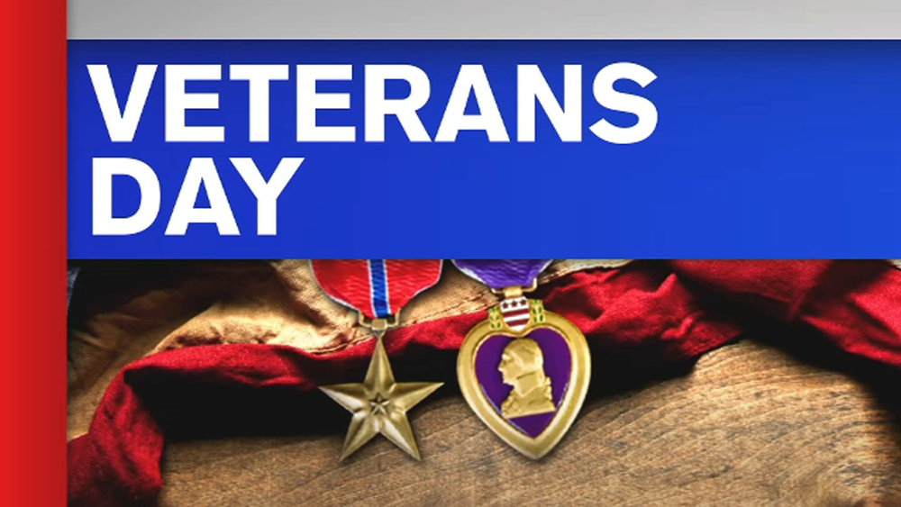 New York City Veterans Day Salute to those who served our country