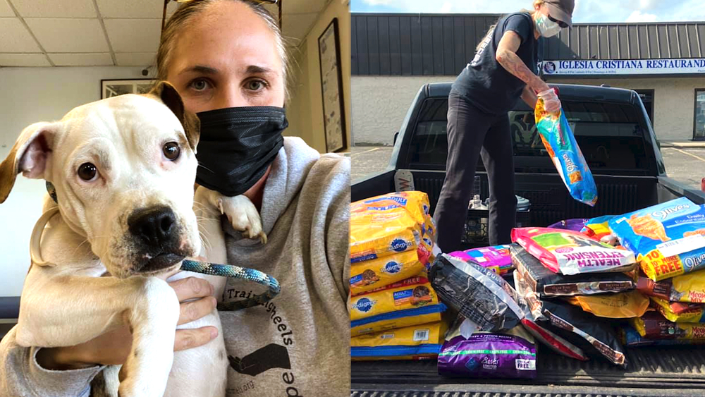 Animal Rescue gives back to struggling families