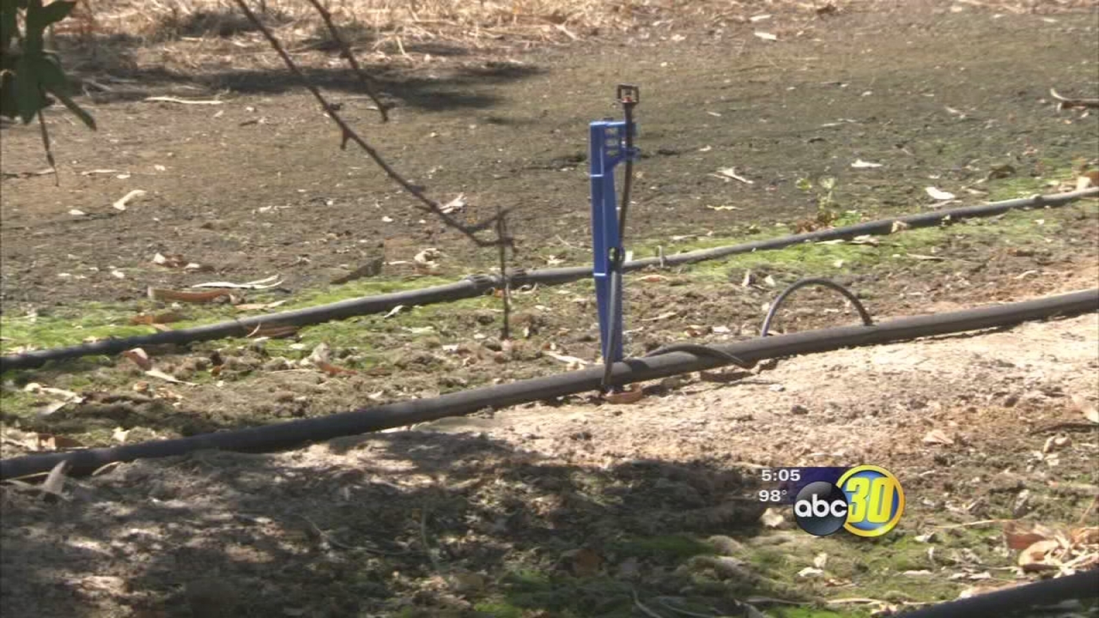 USDA offers new drought relief aid ABC30 Fresno