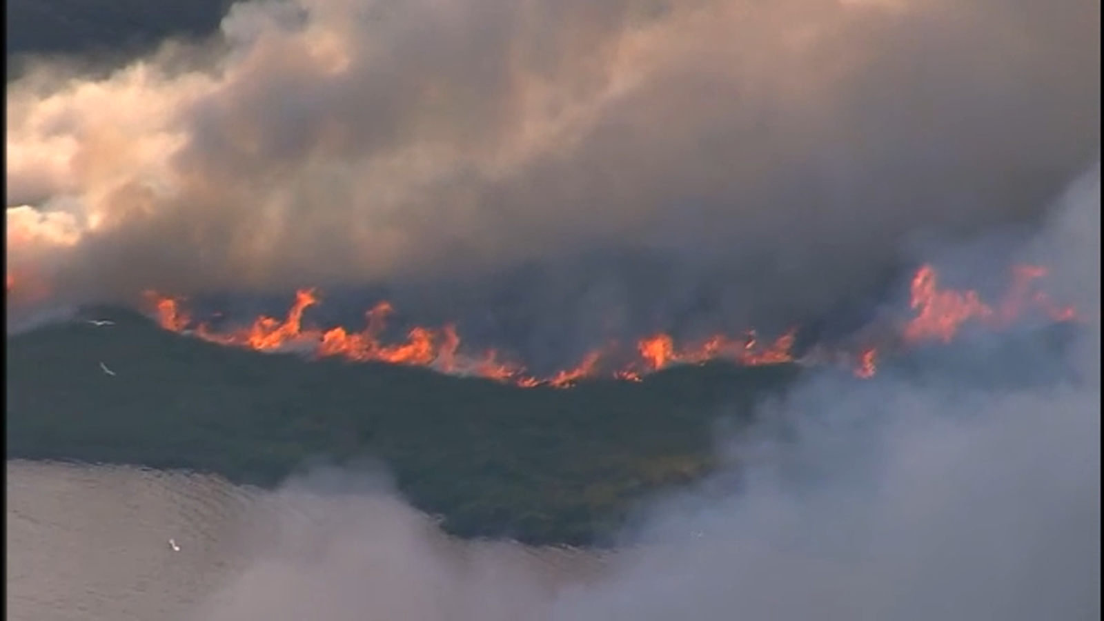 Fire burning in Anahuac National Wildlife Refuge, north of High Island
