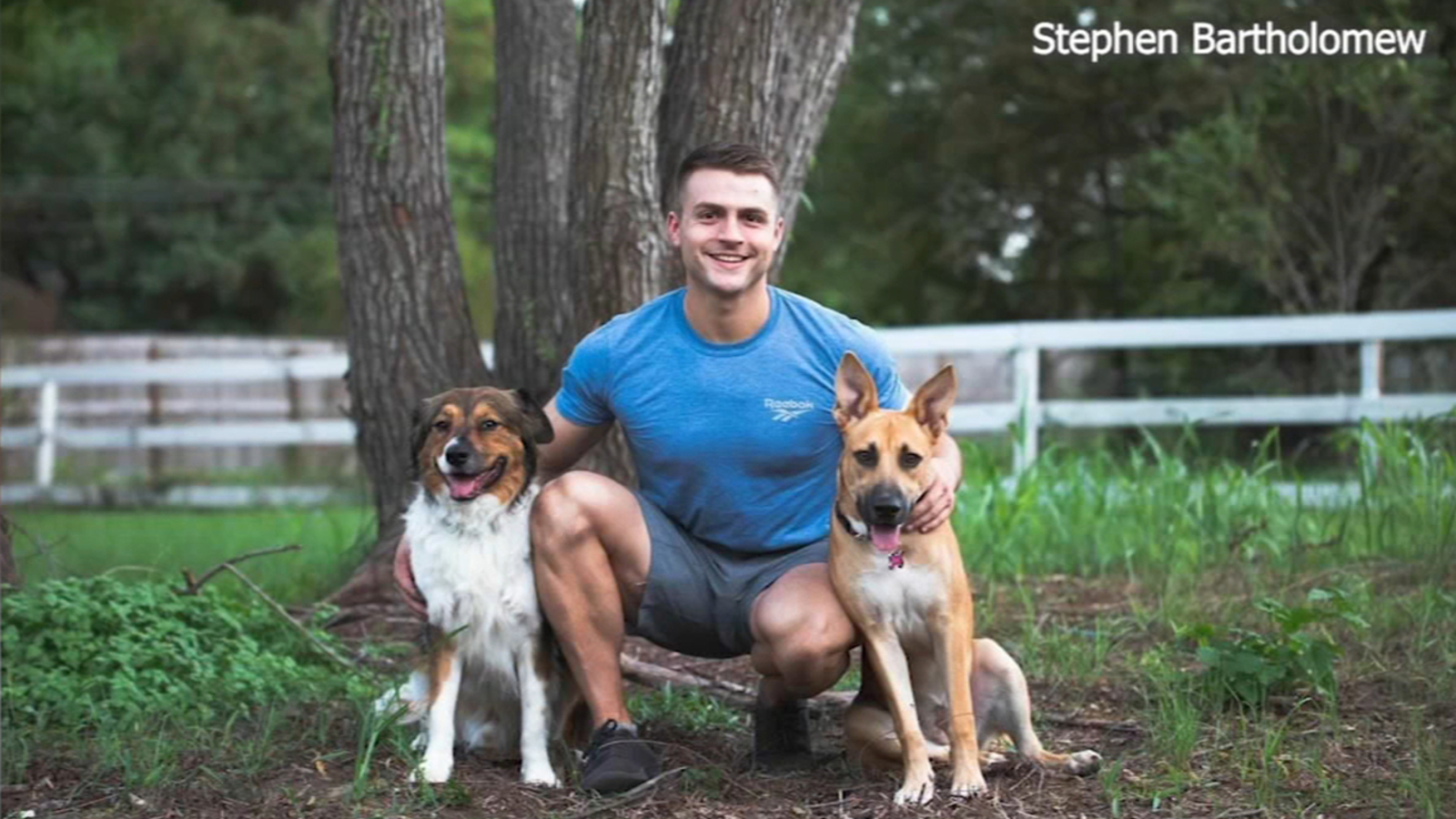 Cypress man finds his 2 dogs shot after they got out ABC13 Houston