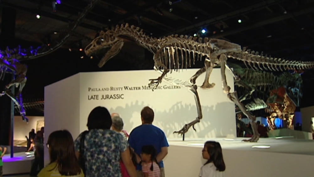 Prehistoric Safari: Take a Tour of HMNS' Paleontology Hall