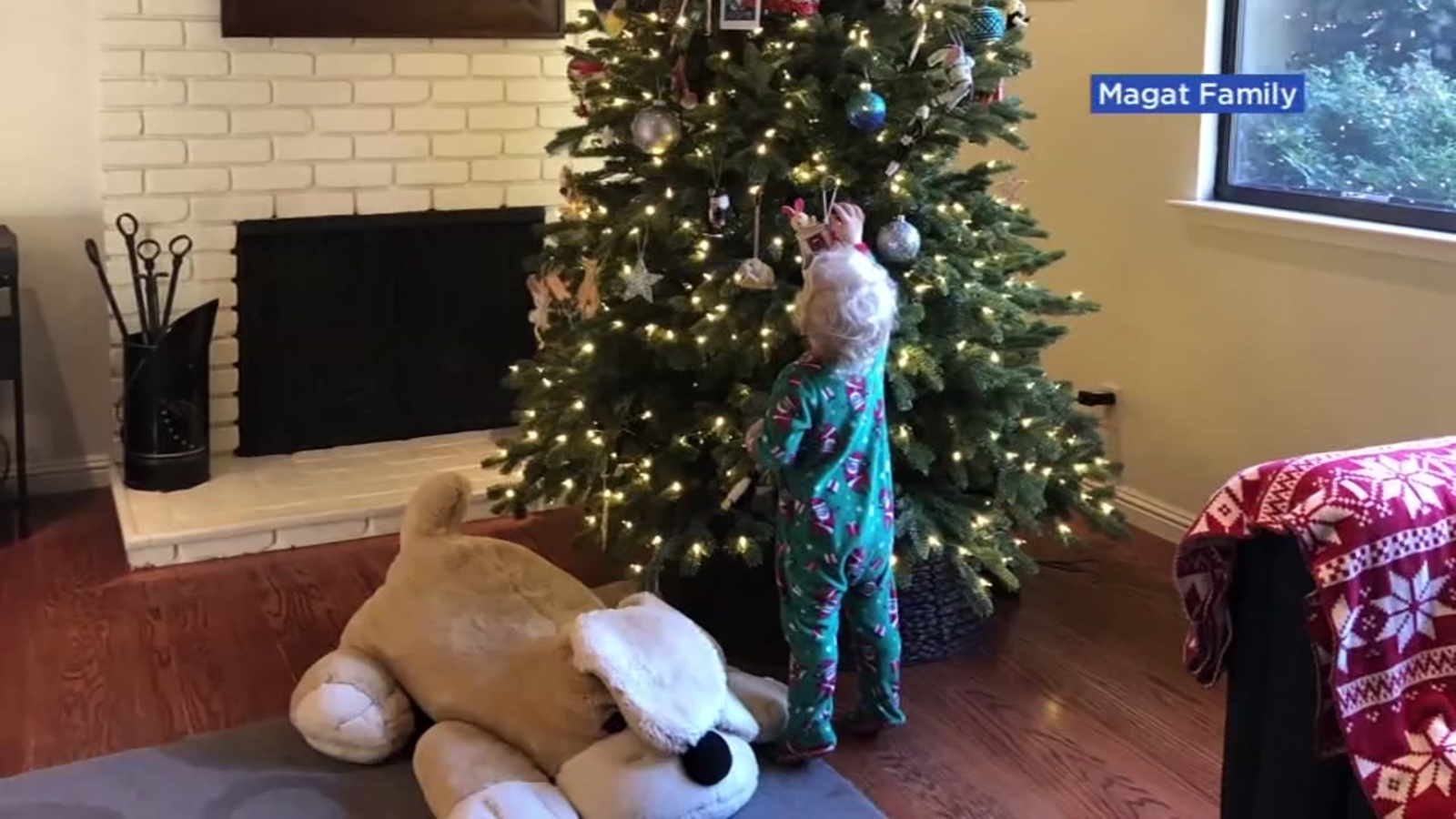 Sfmta Christmas Party 2022 Already Decorating For The Holidays? Psychologists Explain How It Can  Relieve Stress Amid Coronavirus Pandemic - Abc7 San Francisco