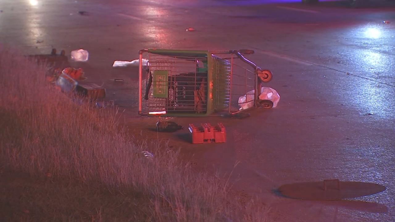 Man pushing grocery cart hit and killed by 2 cars on I-10