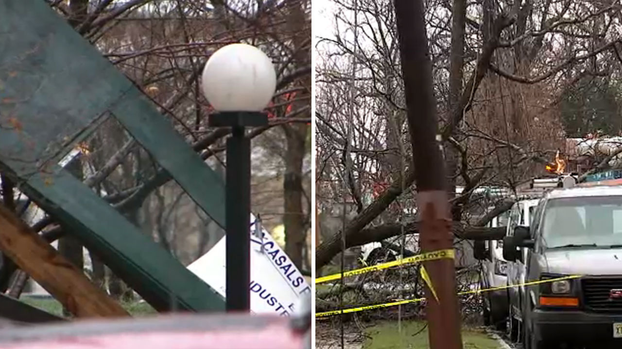 Whipping winds halt traffic, bring down trees & scaffolding