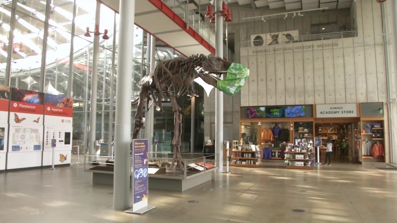 Cal Academy of Sciences evolves during COVID-19 era
