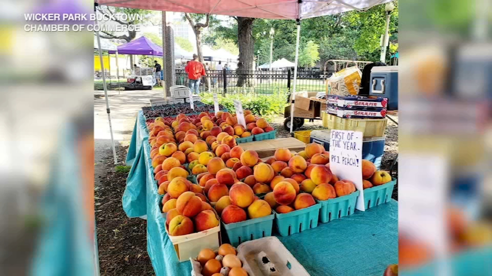 Wicker Park Farmers Market still open during Chicago coronavirus