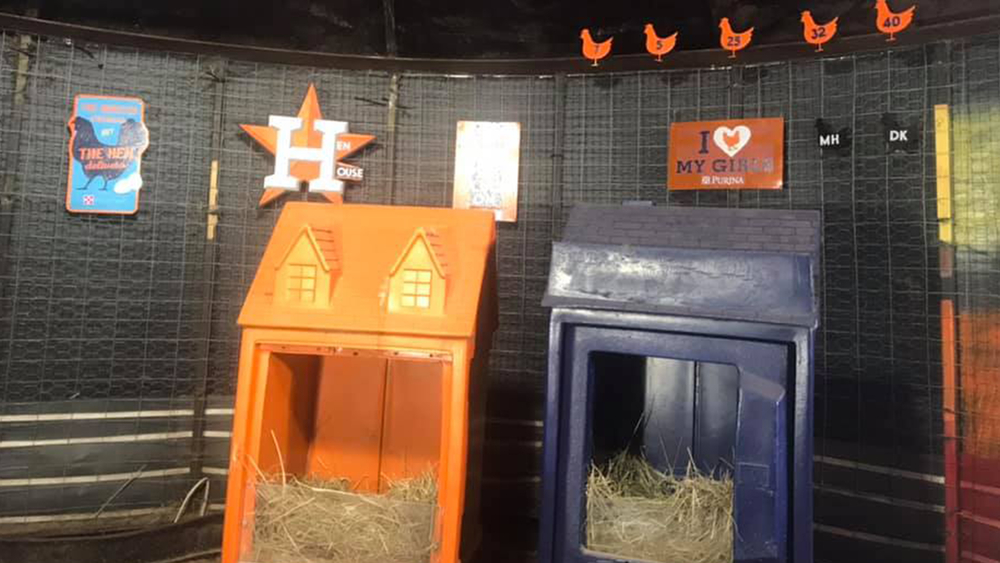 Astros fan creates 'egg-cellent' tribute to Astrodome