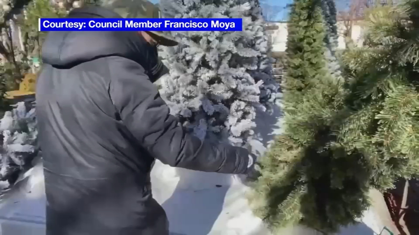 Police Looking For Vandals Who Destroyed Holiday Decorations Local Businesses In Corona Queens Abc7 New York