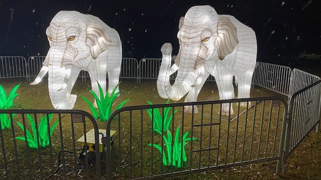 Lanterns from the NC Chinese Lantern Festival pop up in Cary 