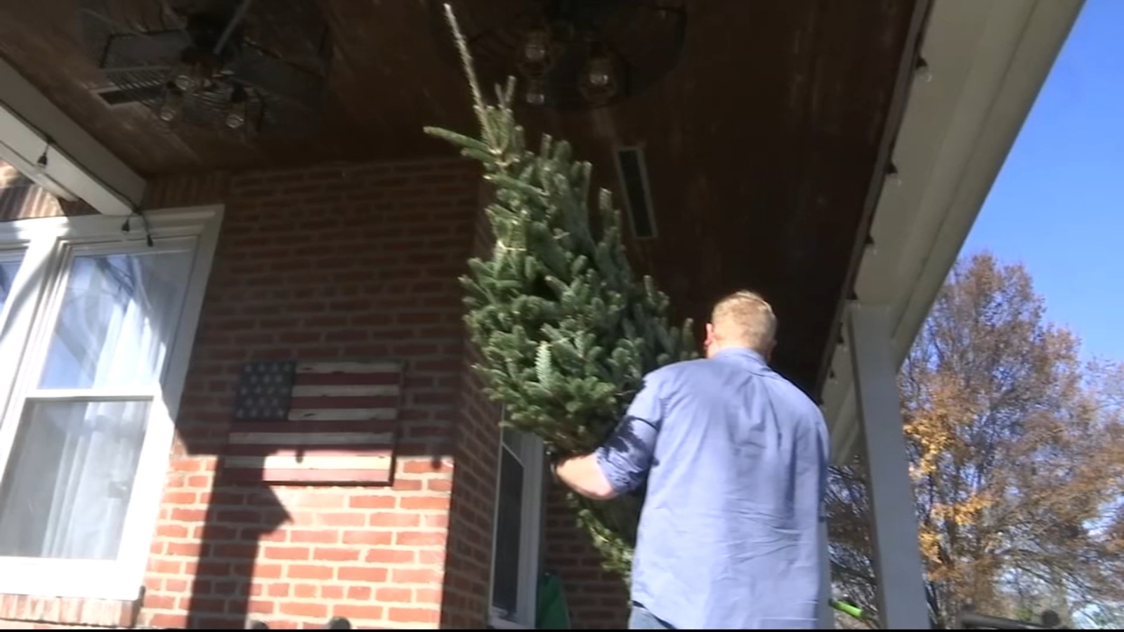 Express Evergreens offers Christmas tree delivery during the COVID