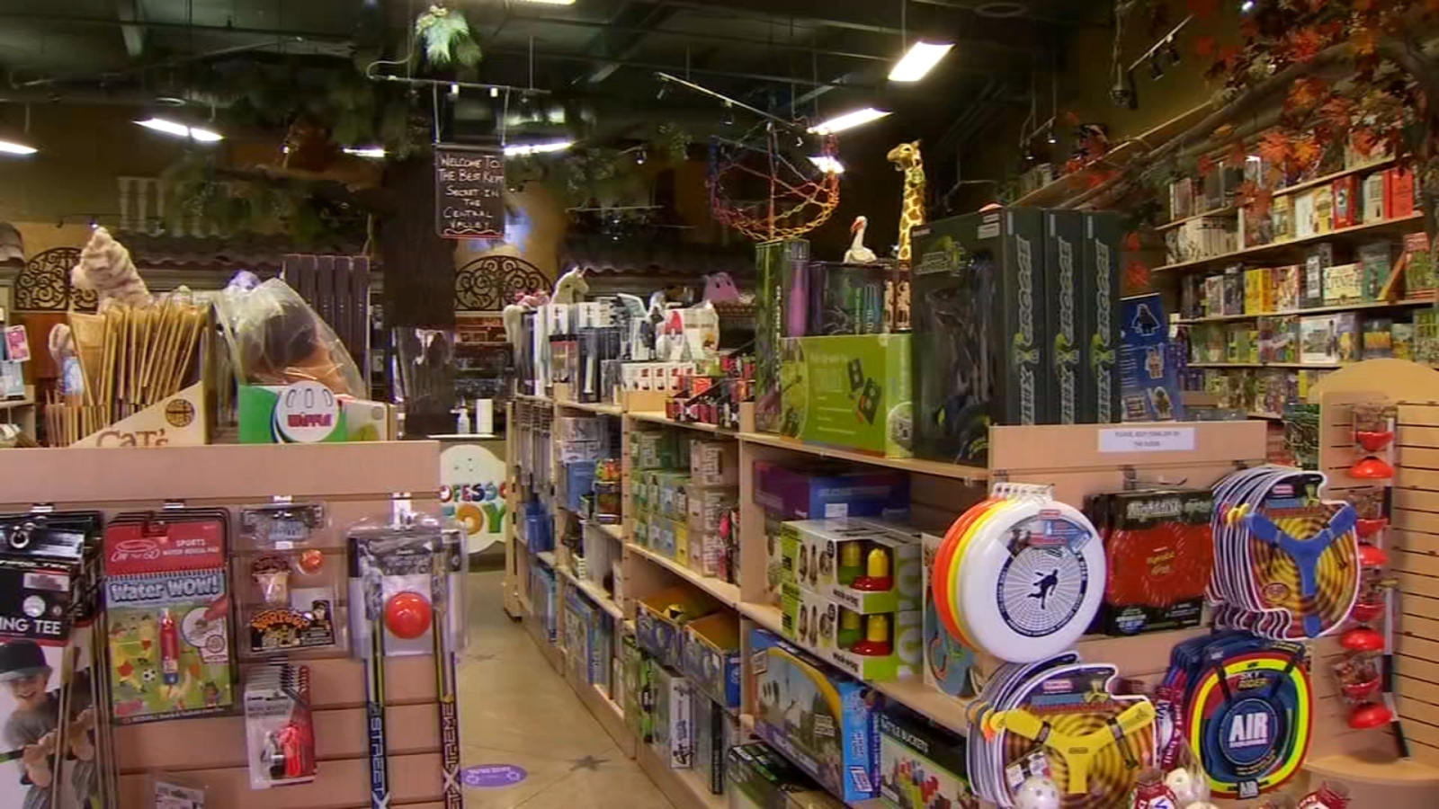 Toy sales boost during pandemic, good news for small toy stores ABC30