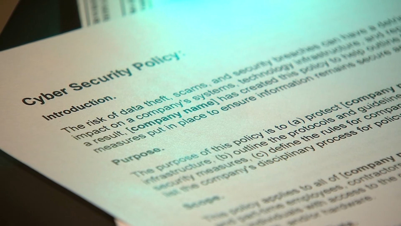 Cyber insurance: What it covers, how much it costs