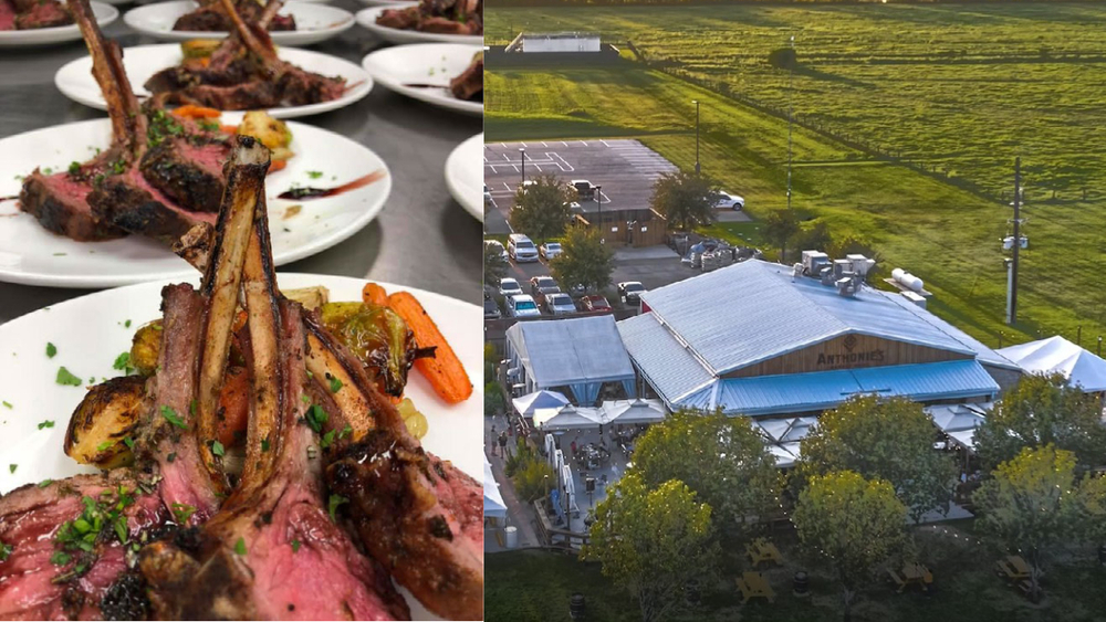 Anthonie's Market Grill is a hidden gem!