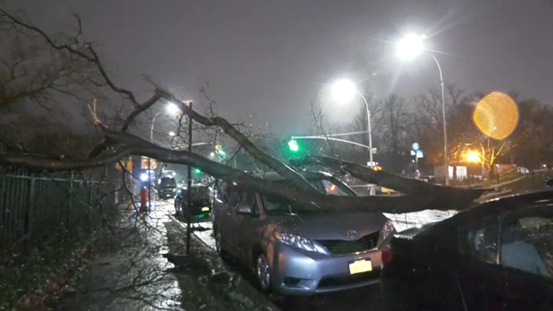 Damaging winds take down trees, power lines across area