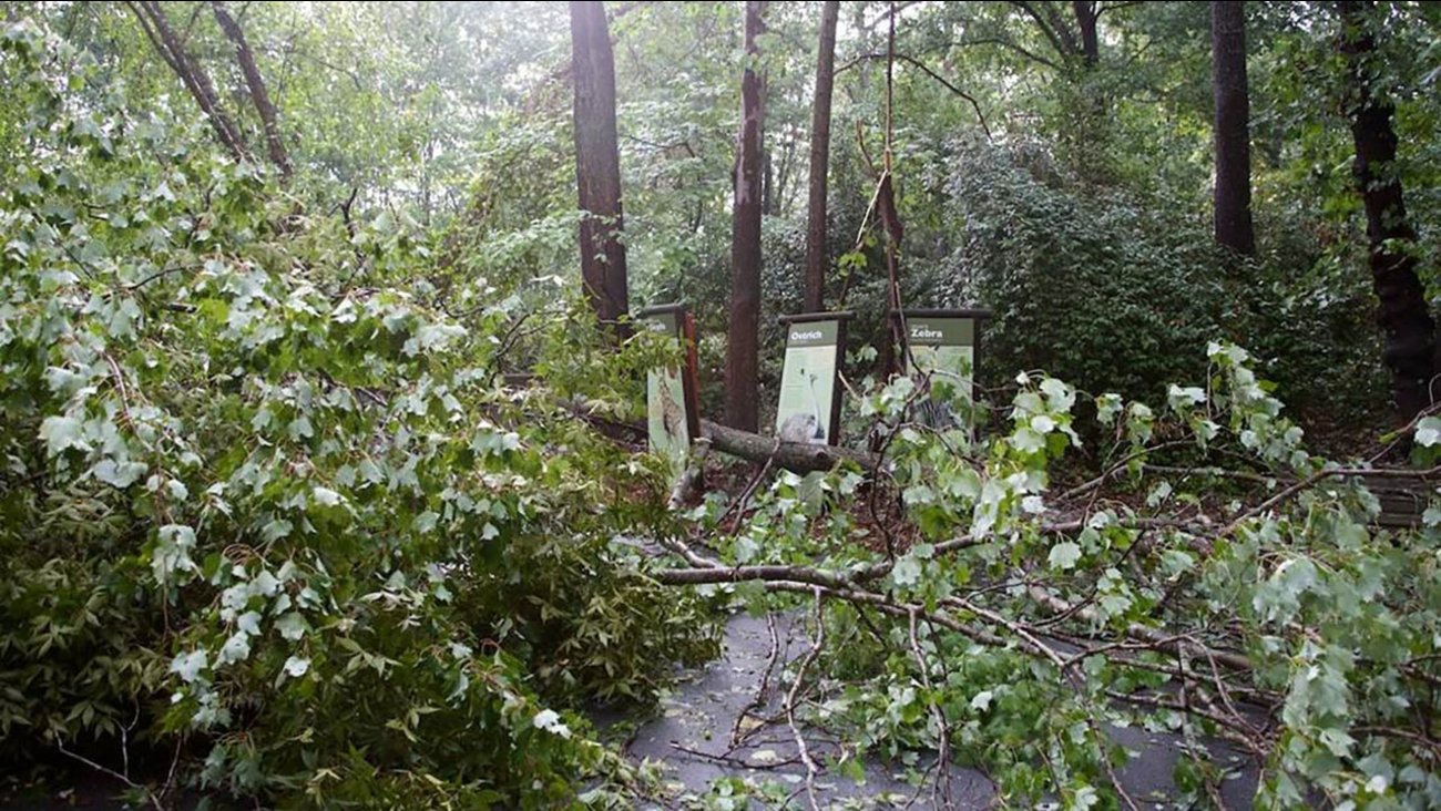 NC Zoo closes temporarily after severe storm