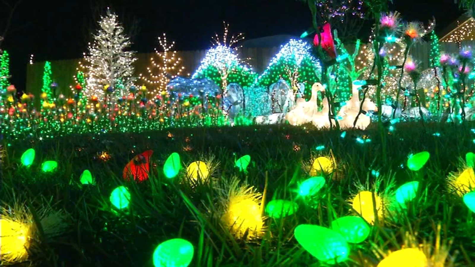 VIDEO Atwater woman handcrafts flowers to create incredible holiday