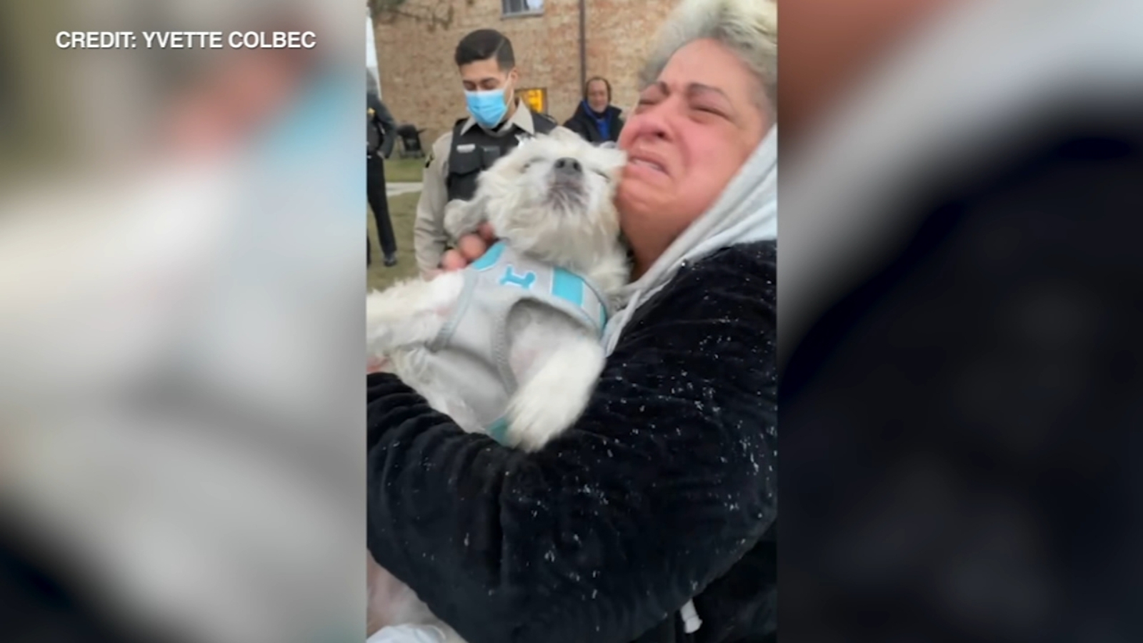 Dog Zoey, in car stolen from Elmhurst, found safe, returned to owner - Vimarsana News