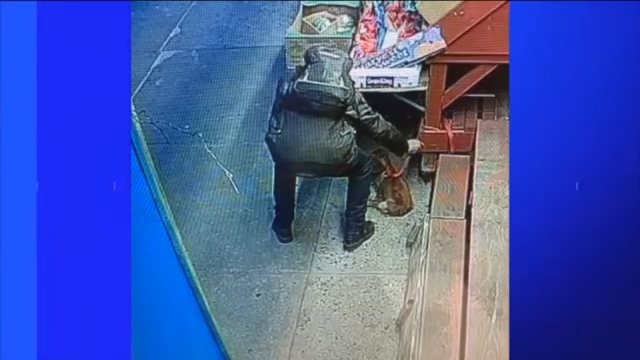 Reward offered after beloved dog swiped from outside NYC deli