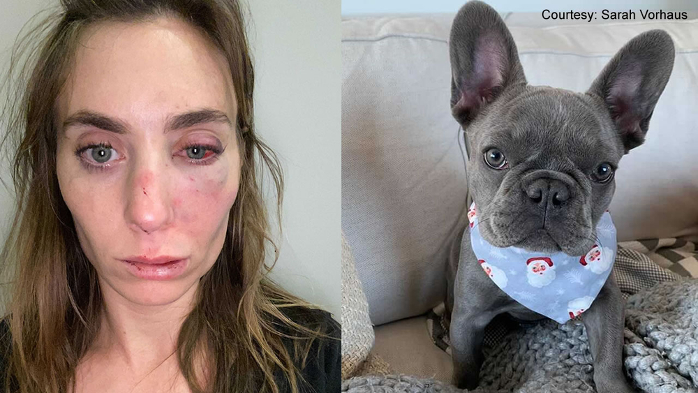 SF woman assaulted at gunpoint, puppy stolen in brazen attack 