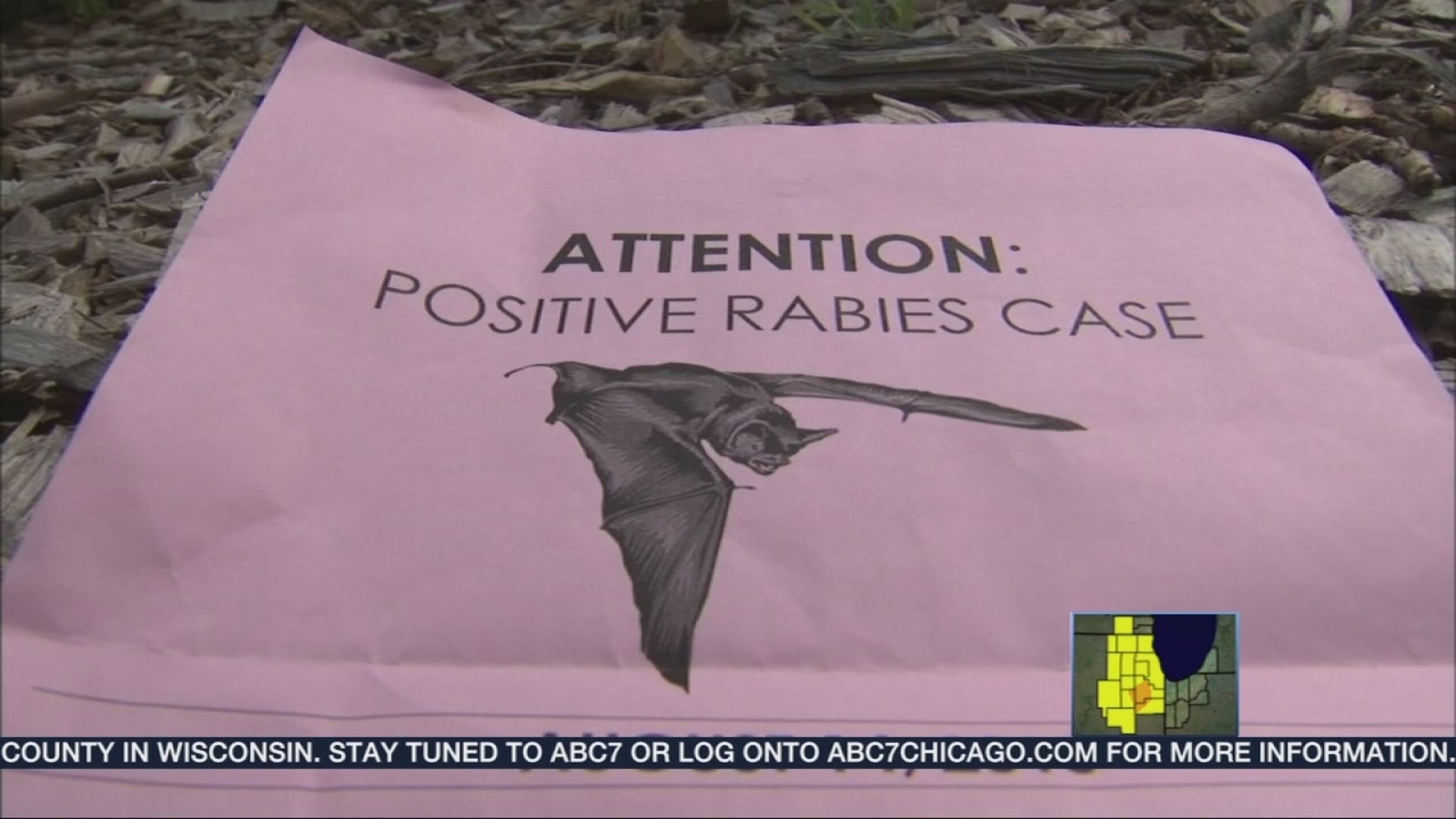Suburban officials urge caution, awareness of rabid bats ABC7 Chicago