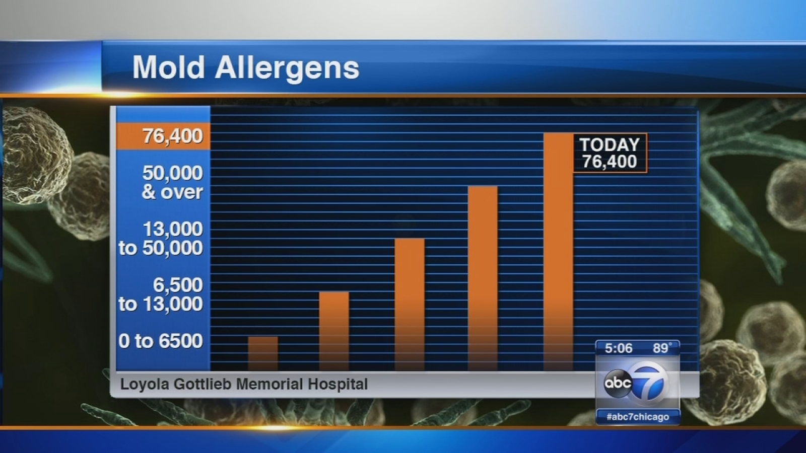 High mold counts in Chicago area aggravate allergy sufferers ABC7 Chicago