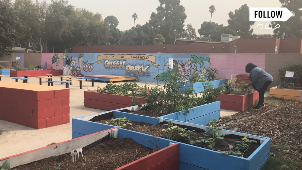 Gardens project helps promote healthy eating!