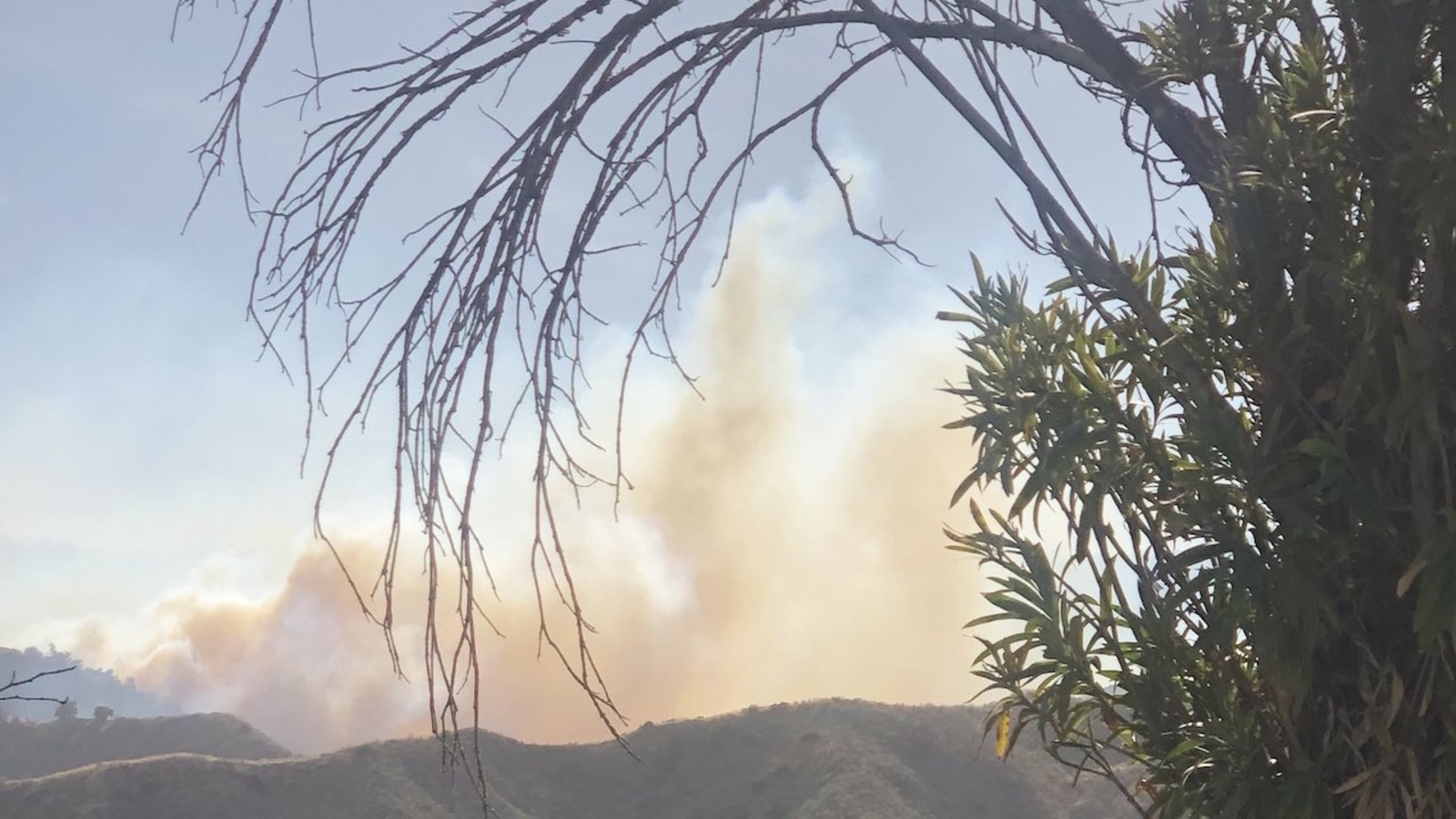 Firefighters battling wind-driven brush fires in Newhall, San Dimas - Vimarsana News