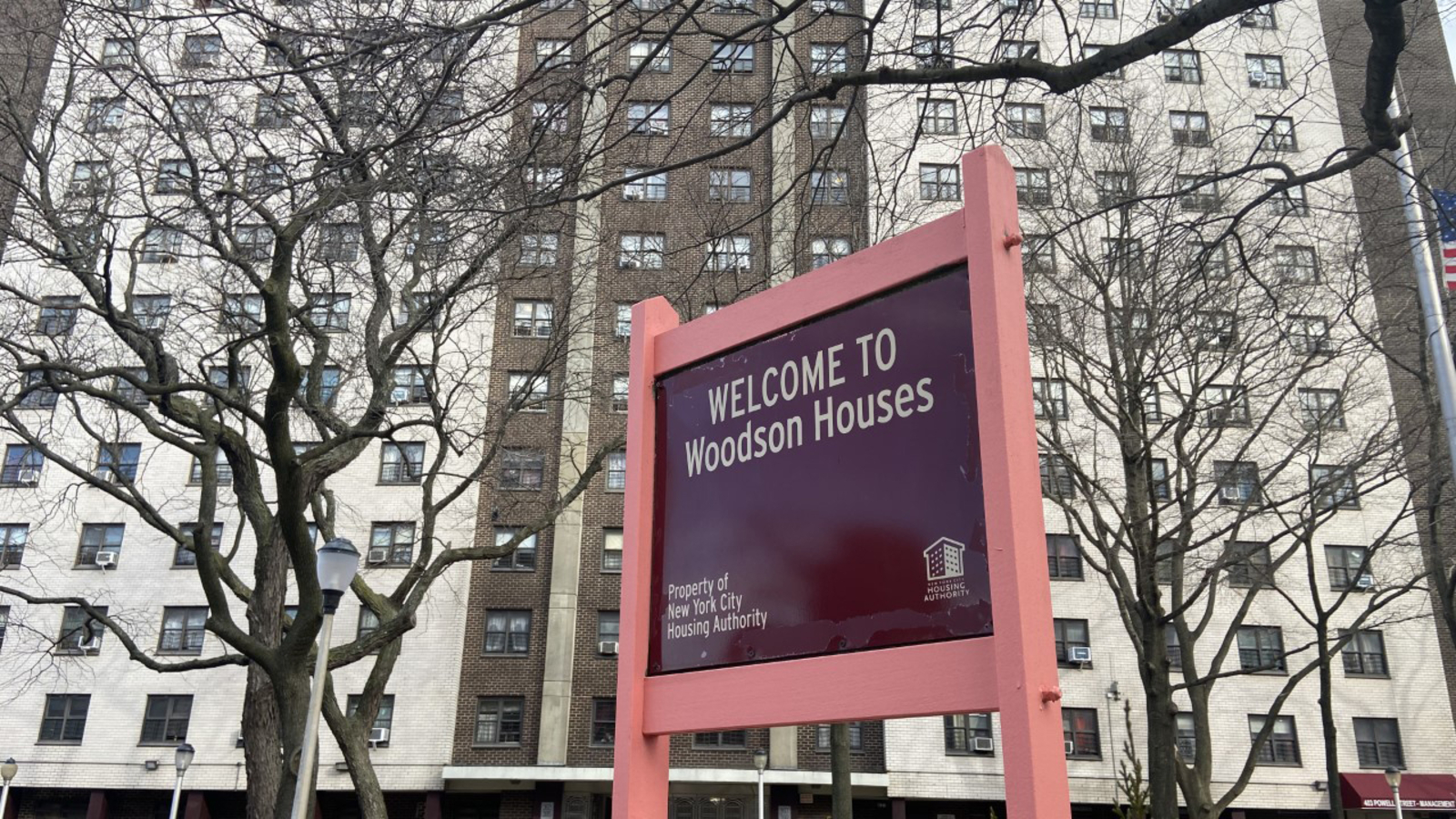 Alleged serial killer charged in 3 murders at NYCHA senior complex in Brooklyn